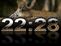 Small screenshot 3 of Digital Leopard Clock