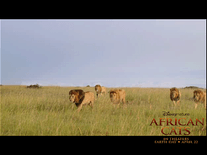 Small screenshot 3 of Disney Nature: African Cats