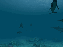Small screenshot 3 of Dolphins 3D