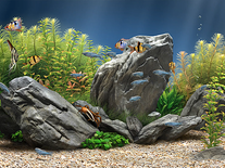 Screenshot of Dream Aquarium 2