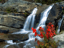 Screenshot of Fabulous Waterfalls