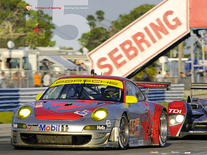 Small screenshot 3 of Flying Lizard 2008