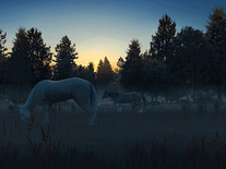 Small screenshot 3 of Fog Horses 3D