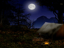 Small screenshot 2 of Forest Camp