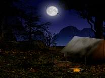 Small screenshot 3 of Forest Camp