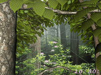 Small screenshot 1 of Forest Life 3D