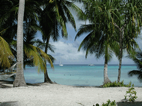 Small screenshot 1 of French Polynesia