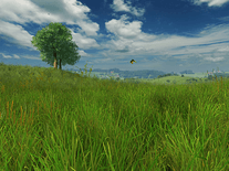 Screenshot of Grassland 3D