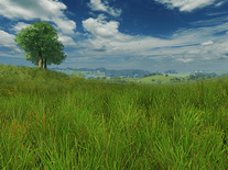 Small screenshot 3 of Grassland 3D