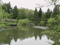 Small screenshot 3 of Japanese Garden