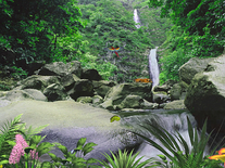 Small screenshot 2 of Jungle Waterfall
