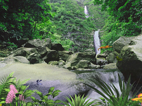 Small screenshot 3 of Jungle Waterfall