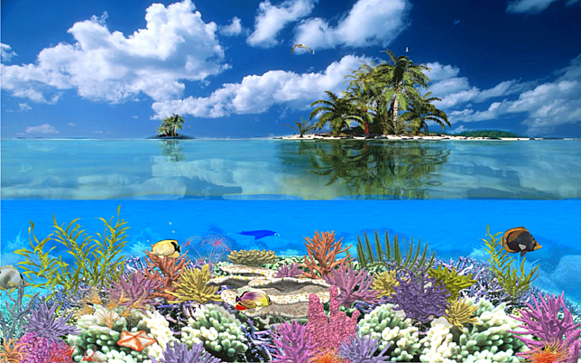Amazing Screensavers for Windows 10 11 coral island 1