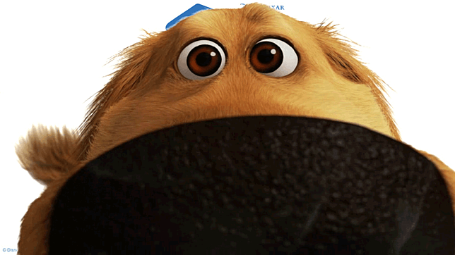 up-meet-dug-1.png