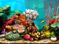 Small screenshot 2 of Living Marine Aquarium 2