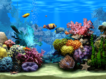 aqaurium screen saver