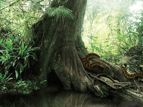 Small screenshot 2 of Living Rainforest