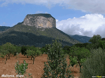 Small screenshot 2 of Mallorca