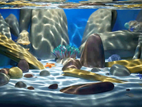 Screenshot of MSN Animated Aquarium