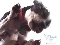 Small screenshot 1 of Must Love Dogs #1