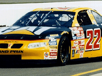 Screenshot of NASCAR Racing