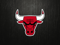 Small screenshot 2 of NBA Leatherback Logos