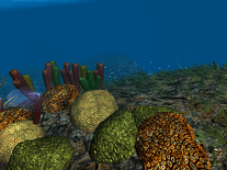 Small screenshot 3 of OceanDive