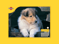 Small screenshot 3 of Pedigree Puppy Calendar