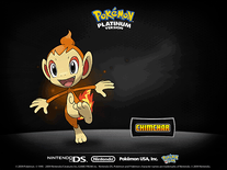 Screenshot of Pokémon Platinum
