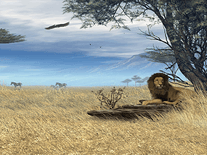 Screenshot of Savannah Safari