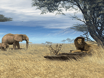 Small screenshot 2 of Savannah Safari