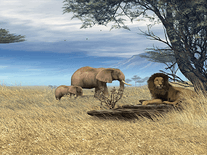 Small screenshot 3 of Savannah Safari