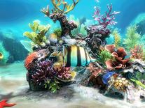 free download fish aquarium screensaver