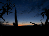 Small screenshot 2 of Sunset