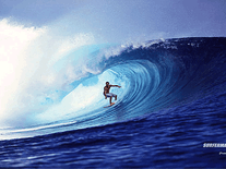 Screenshot of Surfer Magazine