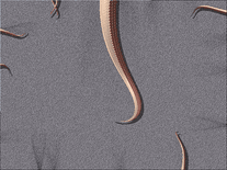 Small screenshot 3 of Tentacle