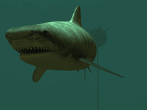 Small screenshot 2 of Tiger Sharks 3D