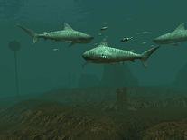 Small screenshot 3 of Tiger Sharks 3D