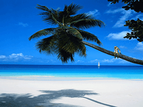 Screenshot of Tropic Paradise