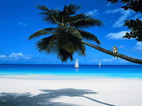 Small screenshot 3 of Tropic Paradise