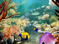 Small screenshot 2 of Tropical Fish 3D