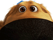 Screenshot of Up: Meet Dug