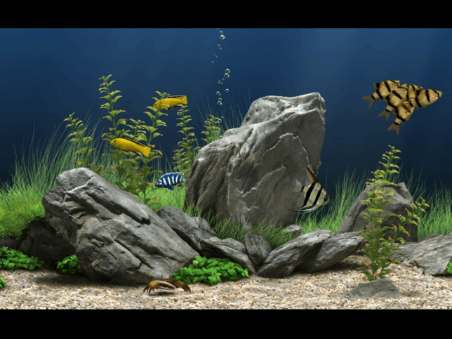 dreamaquarium free download