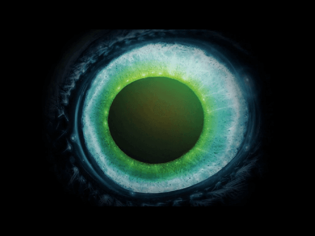 Screensavers Screensavers