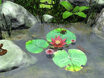 Small screenshot 3 of Water Lily