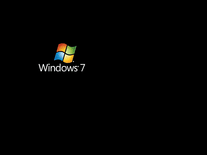 Screenshot of Windows 7 Logo