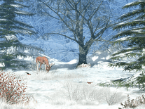 Screenshot of Winter Afternoon