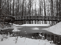 Screenshot of Winter Pond Foot Bridge