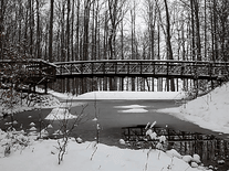 Small screenshot 2 of Winter Pond Foot Bridge