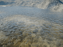 Small screenshot 2 of zz River